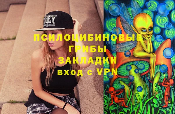 МДПВ Алексин