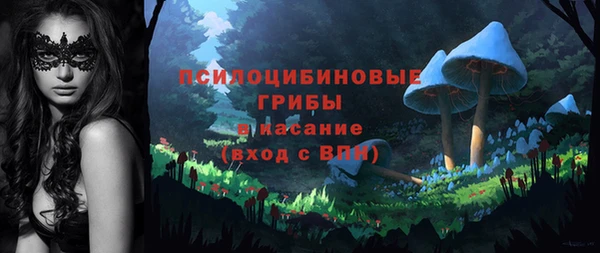стафф Абаза